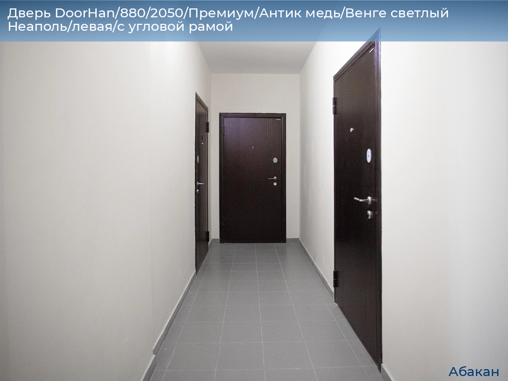 Дверь DoorHan/880/2050/Премиум/Антик медь/Венге светлый Неаполь/левая/с угловой рамой, abakan.doorhan.ru