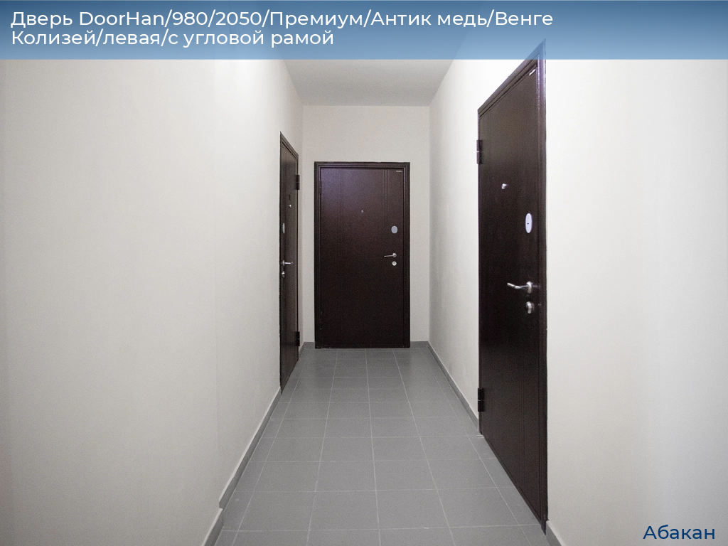 Дверь DoorHan/980/2050/Премиум/Антик медь/Венге Колизей/левая/с угловой рамой, abakan.doorhan.ru