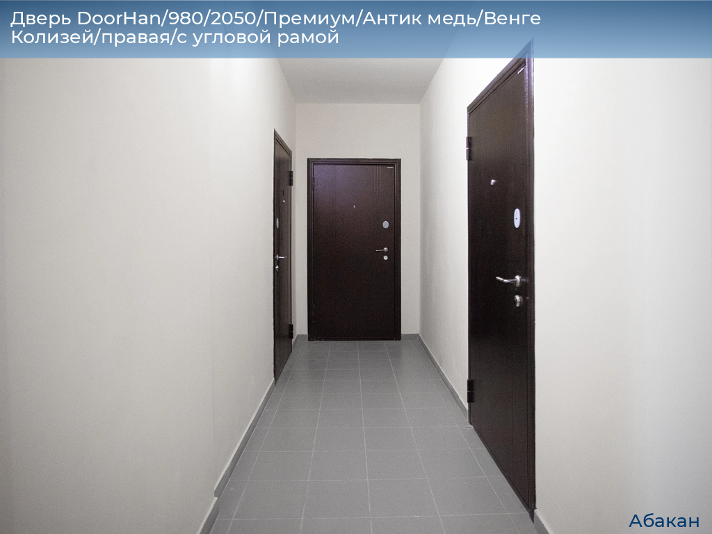 Дверь DoorHan/980/2050/Премиум/Антик медь/Венге Колизей/правая/с угловой рамой, abakan.doorhan.ru