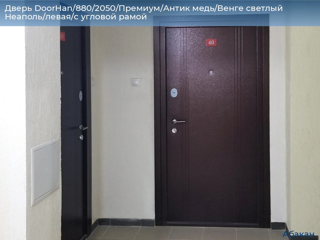 Дверь DoorHan/880/2050/Премиум/Антик медь/Венге светлый Неаполь/левая/с угловой рамой, abakan.doorhan.ru