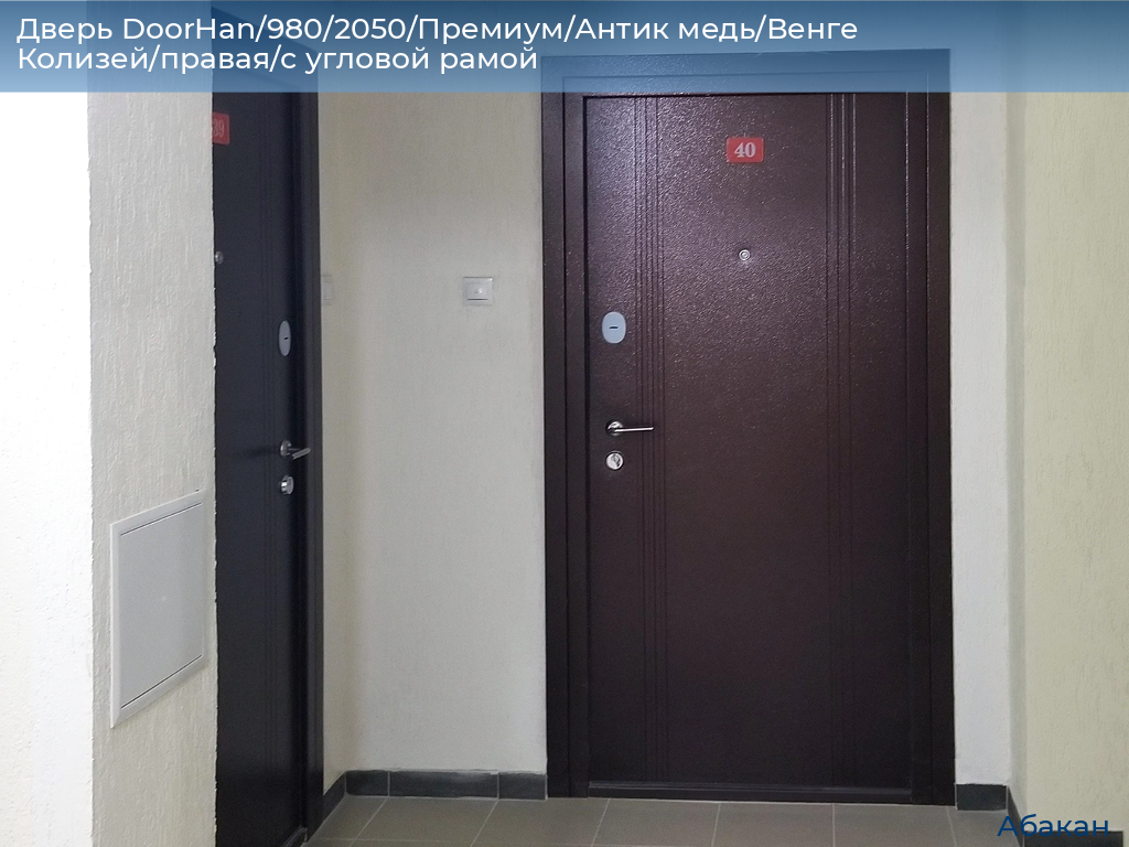 Дверь DoorHan/980/2050/Премиум/Антик медь/Венге Колизей/правая/с угловой рамой, abakan.doorhan.ru
