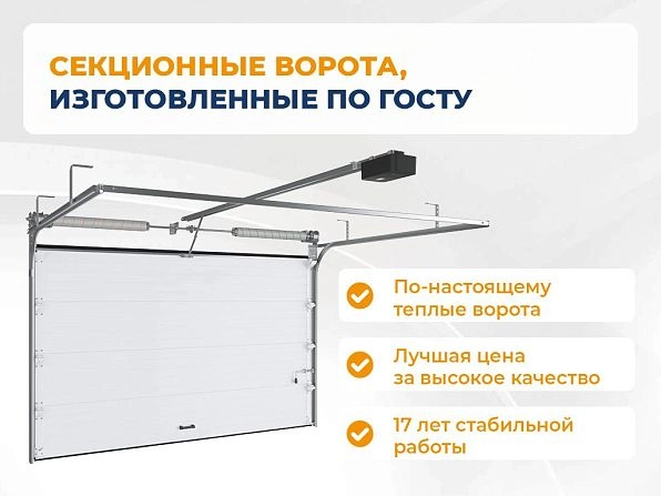 Секционные ворота 3100х2650 мм белые DoorHan RSD02, abakan.doorhan.ru